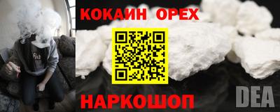 стафф Заволжье